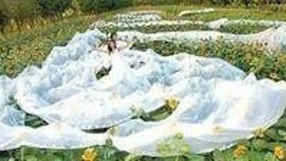 2/20100