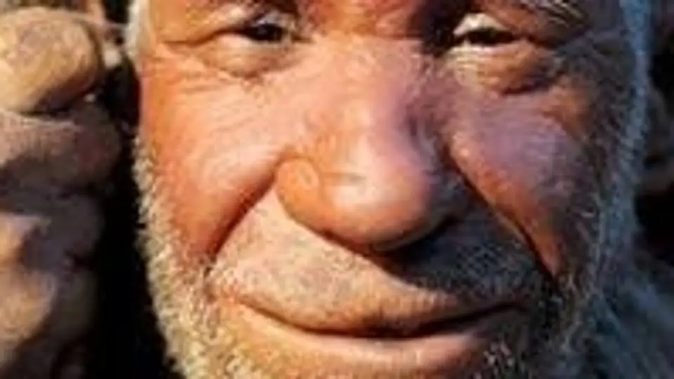 2/20864