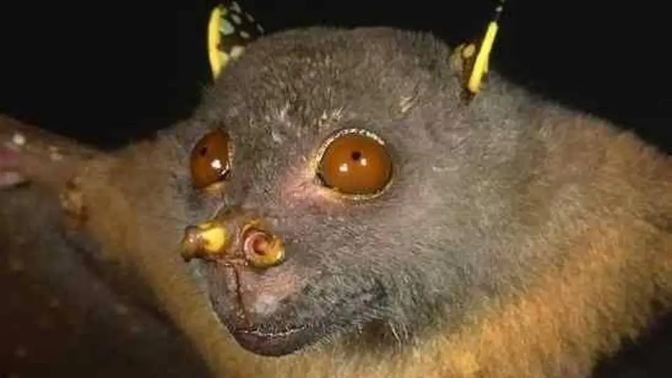 2/21187