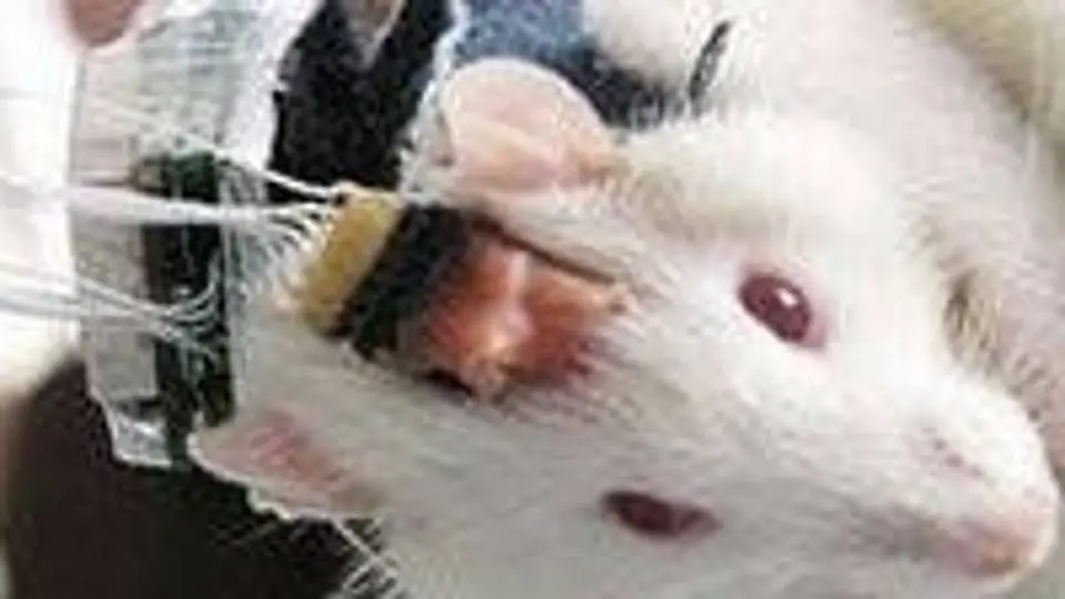2/22279