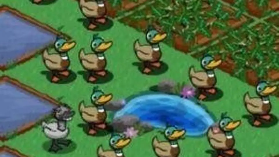 2/23937
