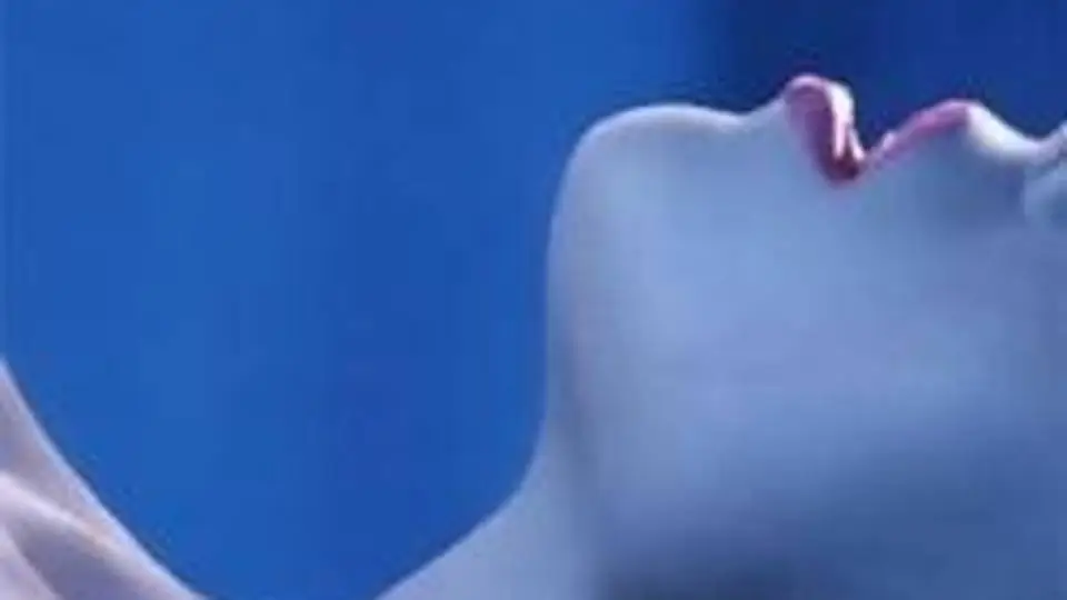 2/2549