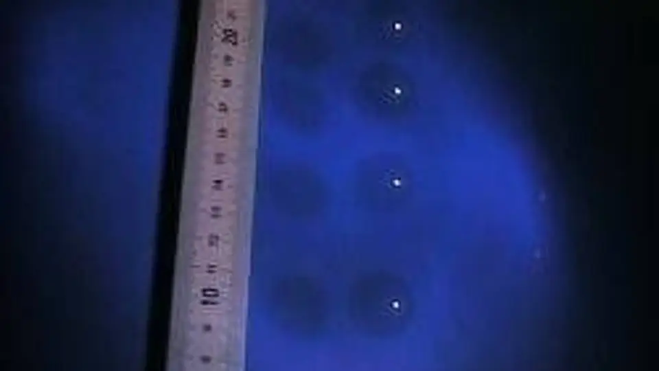 2/2947