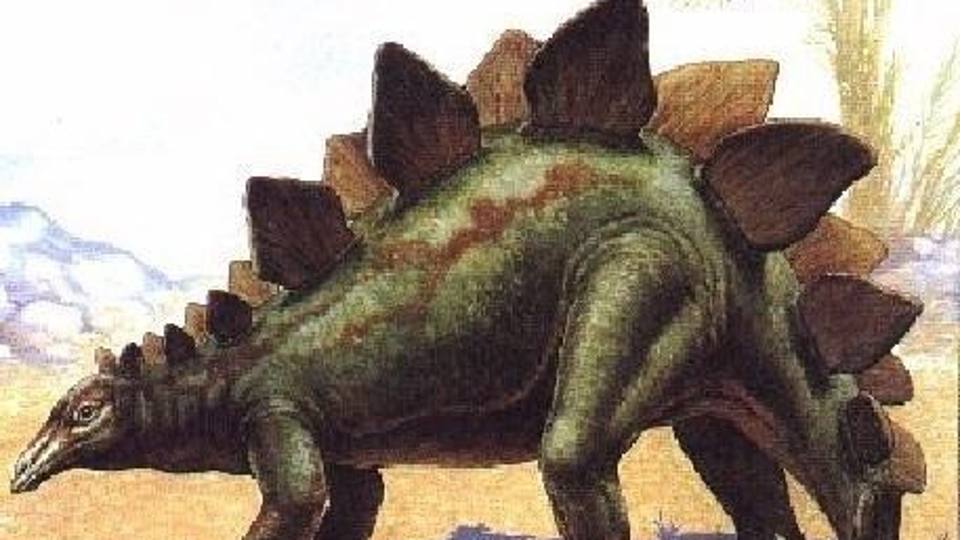 3/39824.jpg