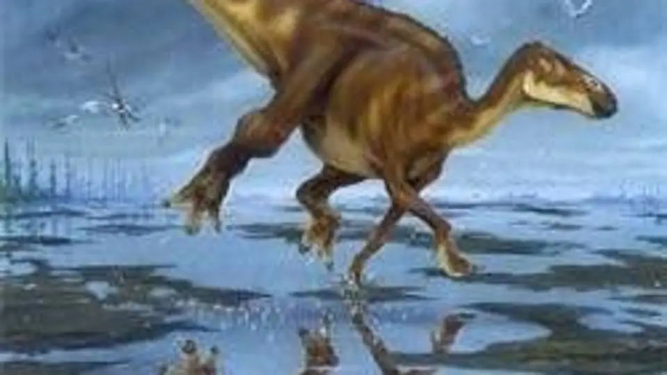 4/4634