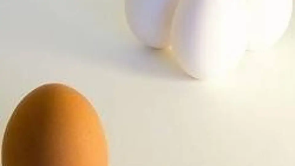 6/6101