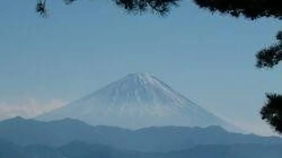 6/64