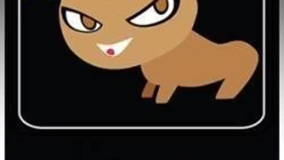 6/6636