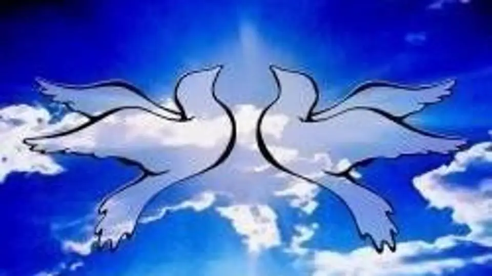 7/7081