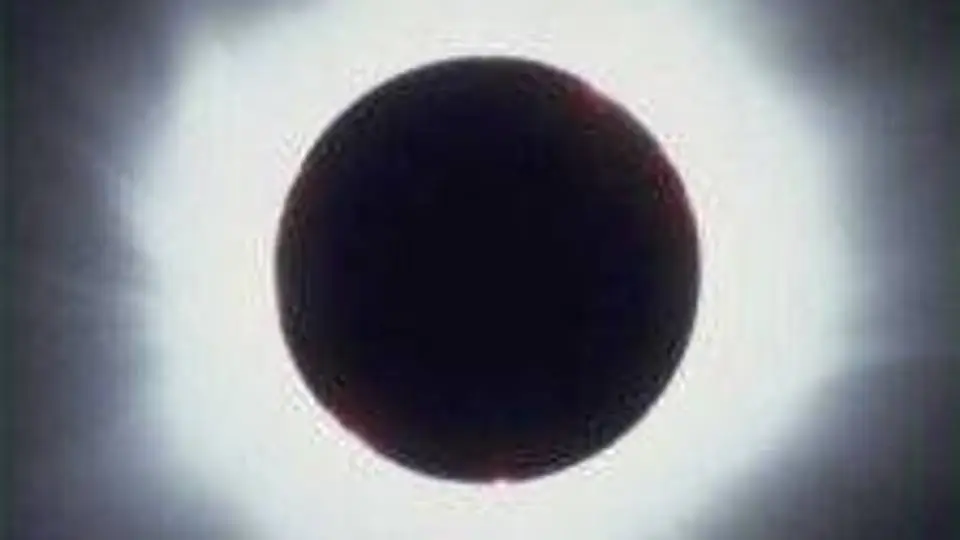 7/7348