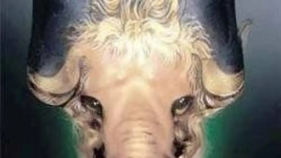 7/7793