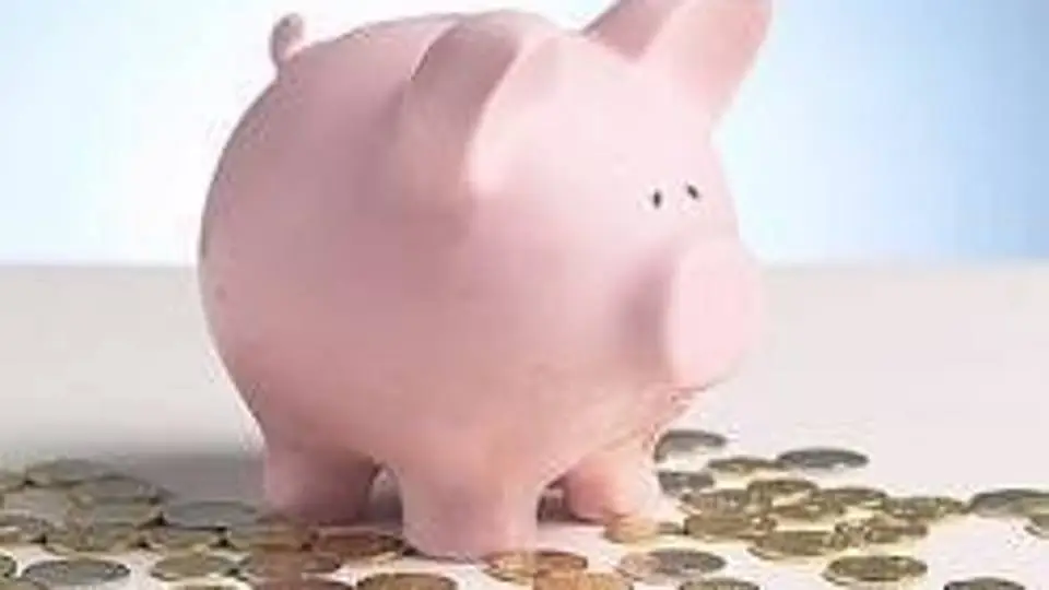 7/7981