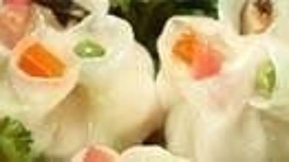 9/9198
