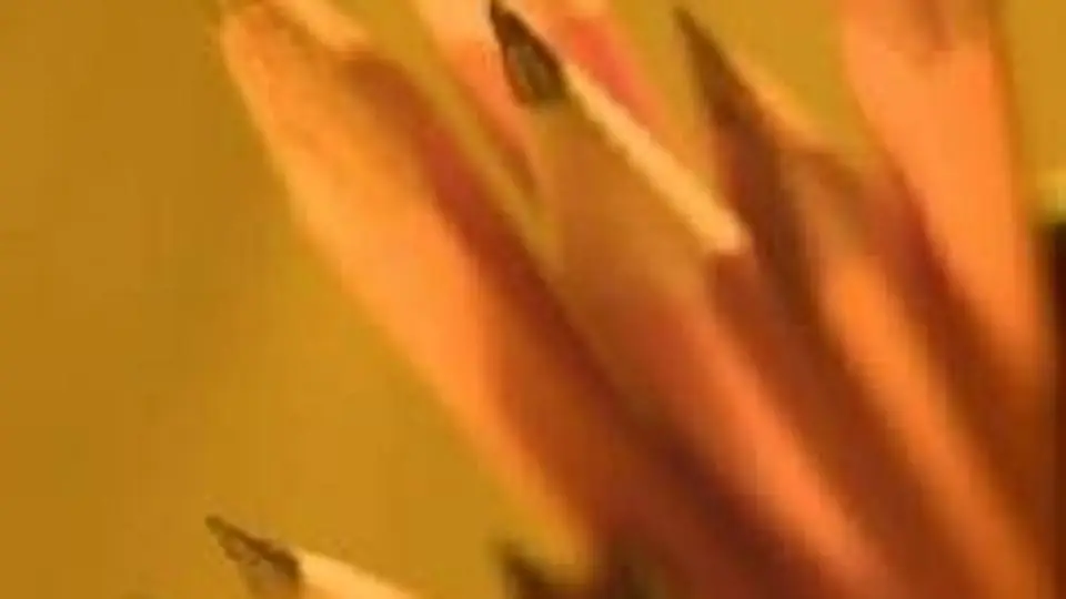 9/9731